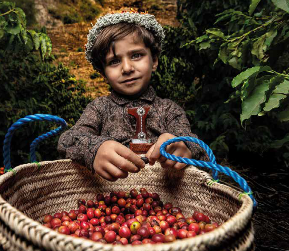 معهد البن للتدريب