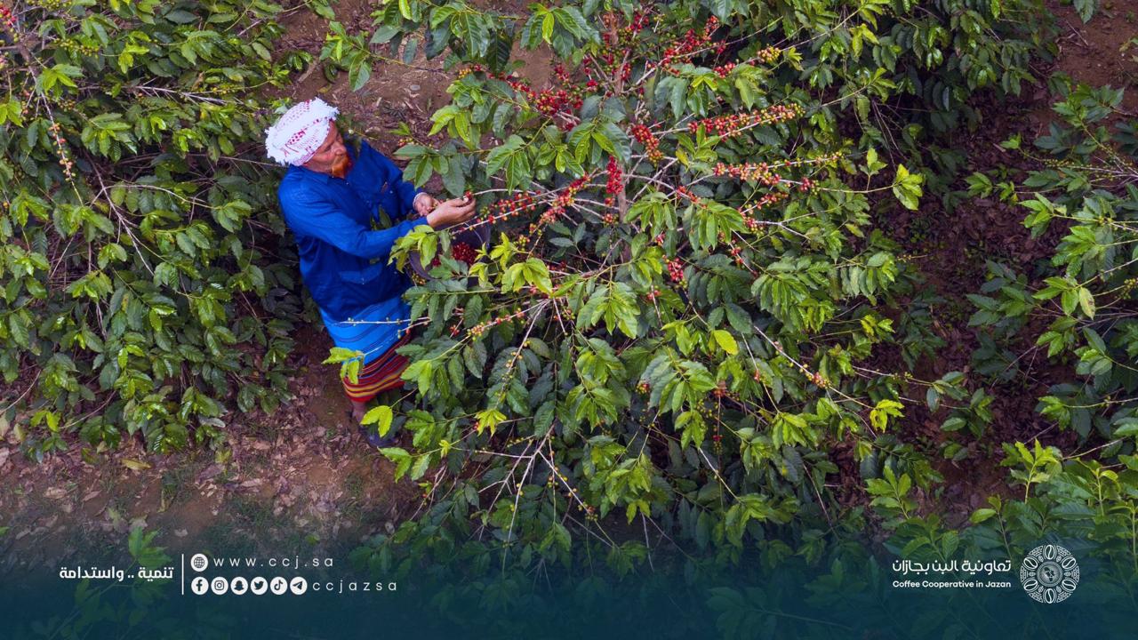 انتهاء المرحلة الأولى من المسح الميداني