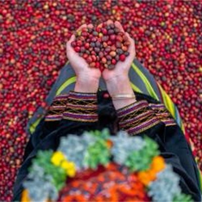 فعاليات التوعية ونشر الثقافة الزراعية