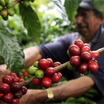 تسويق المنتجات