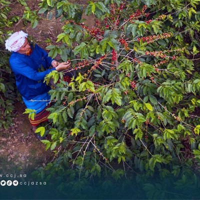ورشة عمل في مزرعة ابو عوادددد