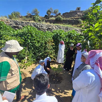 التدريب الفني والمهني